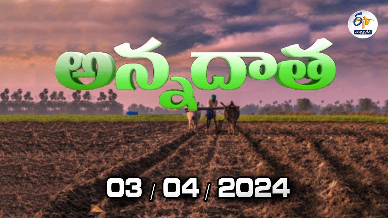   3rd April 2024  Annadata  Full Bulletin  ETV Andhra Pradesh