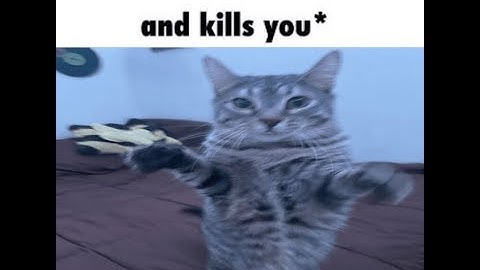 BEST RANDOMIZER SCRIPT 2025 *PASTEBIN*SILENT AIM*MAGIC BULLET*