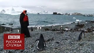 Как патриарх Кирилл гулял в Антарктиде с пингвинами