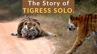 SOLO: The Fallen Queen | BRUT Documentary | Bandhavgarh National Park