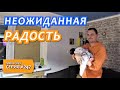 Папин влог в ДЕНЬ ПАПЫ. ВОТ ПОЧЕМУ НАМ НРАВИТСЯ ЗДЕСЬ ЖИТЬ. Краснодарский край. Динская