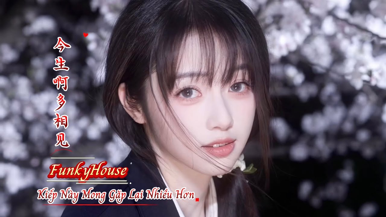 今生啊多相见 (DJ抖音版 FunkyHouse) Kiếp Này Mong Gặp Lại Nhiều Hơn | Hot tiktok douyin 2026