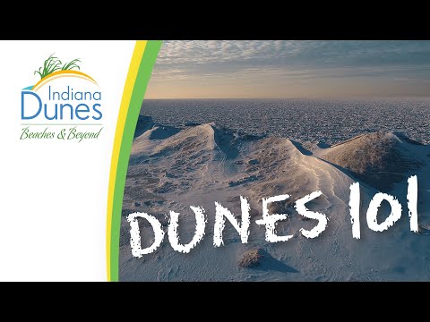 Video: Čo Robiť A Vidieť V Národnom Parku Indiana Dunes