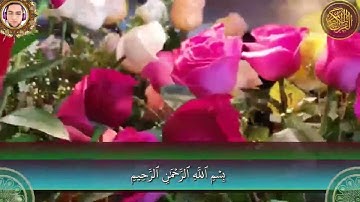 سورة غافر كاملة - القارئ ياسر عويضة
