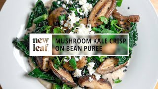 Mushroom Kale Crisp on Bean Puree