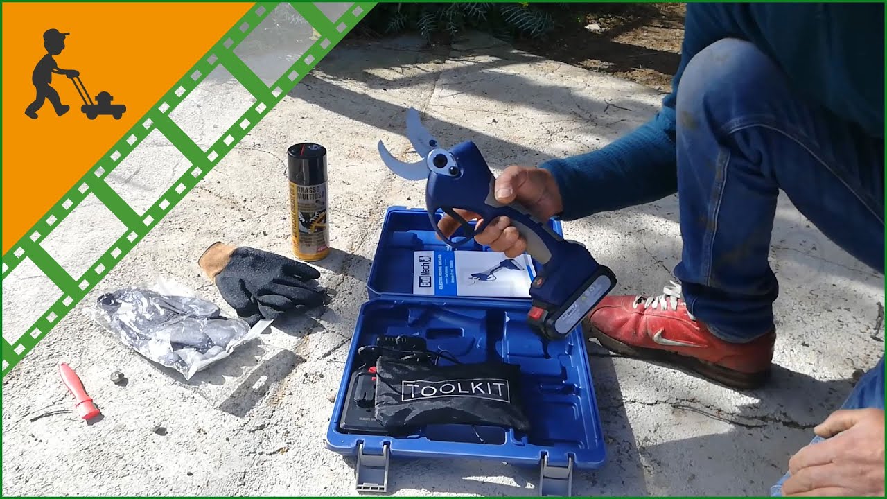 MXBAOHENG Écailler Électrique Poisson Bleu - 2 Batteries - Grattoir Automatique Inox 304 - Rapide & Sans Effort