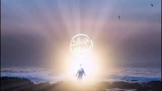 Dwyer - Illucinations