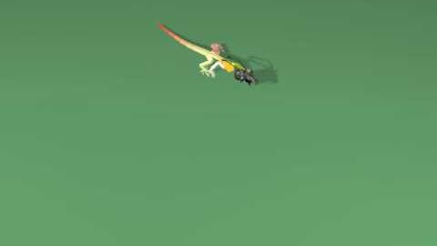 creature  path - 3Dmax CAT rig