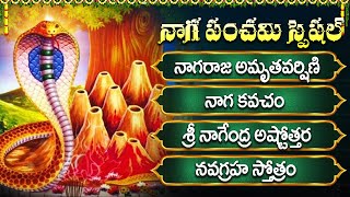 Download Lagu నాగుల పంచమి స్పెషల్ భక్తి పాటలు || నాగరాజు అమృత వర్షిని || Nagula Panchami Special Bhakti Songs MP3 Download Lagu నాగుల పంచమి స్పెషల్ భక్తి పాటలు || నాగరాజు అమృత వర్షిని || Nagula Panchami Special Bhakti Songs MP3