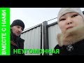 Переезд в Бурятию/ Уже перед мужем неудобно! Не могу удержаться. ОБЗОР СЕМЯН@BMECTE_C_HAMI