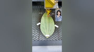 leaves #production process #laser engraving #leaf engraving machine #entrepreneurship