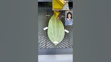 leaves #production process #laser engraving #leaf engraving machine #entrepreneurship
