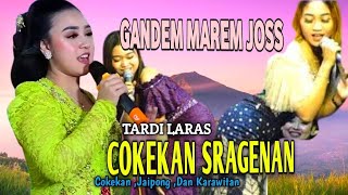 Tardi Laras • Full Cokek Sragenan Karawitan • Sound System Taruna Jaya