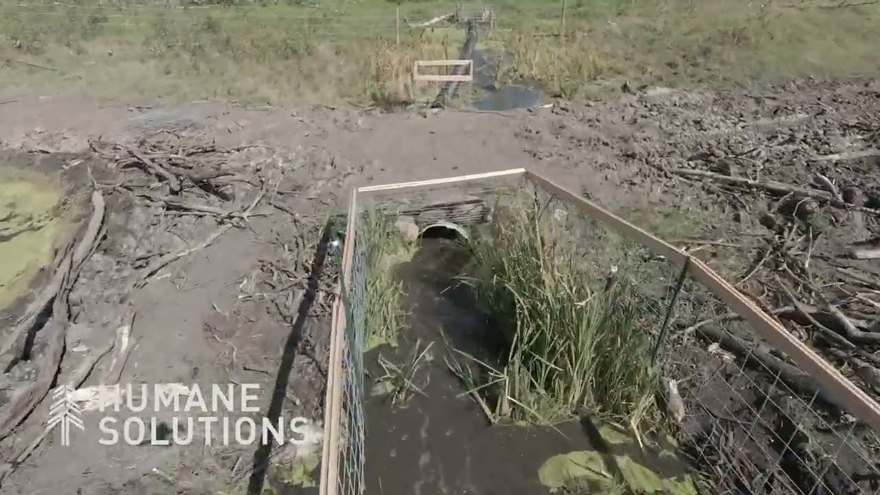 Innovative Flow Control Device System by Humane Solutions Inc. | Drone Tour | Red Deer, Alberta