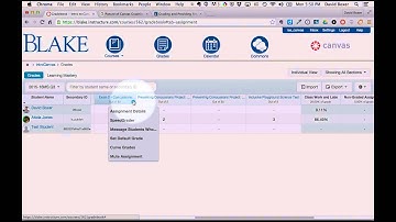 Enter and Edit a Score in the Canvas Gradebook