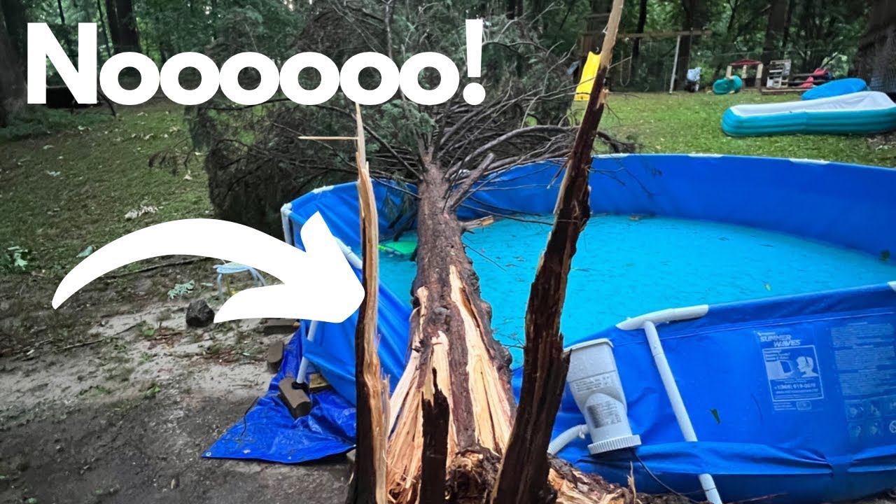 A Tree Fell On Our Pool. How To Clear A Fallen Tree From Your Yard