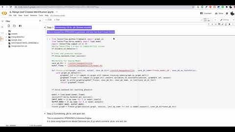 Mango Disease Identification