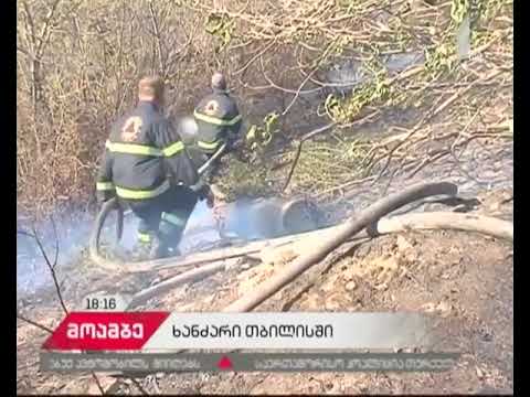 თემქაზე, თბილისის ზღვის მიმდებარე ტერიტორიაზე ხანძარი ლოკალიზებულია