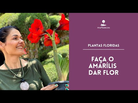 Vídeo: Como Cuidar De Uma Flor