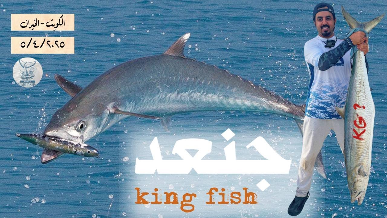 ب سناره من سوق الجمعة .. صيد اكبر جنعد ب الكويت ..! وانكسرت الجزه ..؟