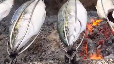 Vỉ Nướng cá cam _ Vỉ Nướng cá rô phi _vir nướng cá lóc,Sđt và Zalo muahàng _ 0845566833 _ 0355488481