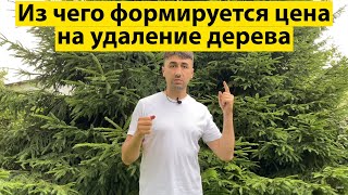 Из чего формируется цена на удаление дерева.