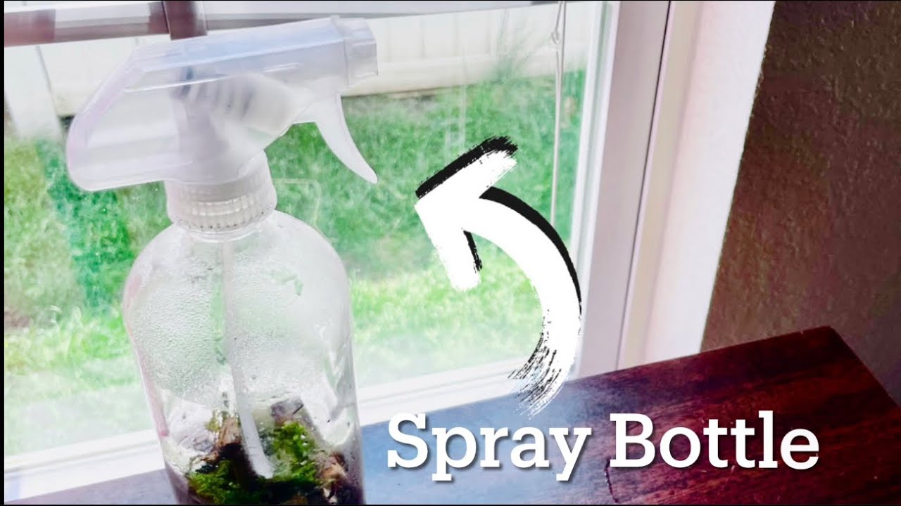 I Turned a Spray Bottle into a Terrarium. YouTube