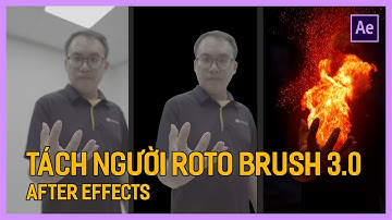 Tách Người Ra Khỏi Video với Roto Brush After Effects