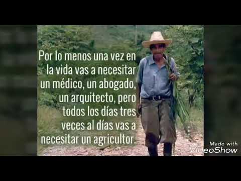 Frases De Agronomia Por Jorge Abarca Segunda P Youtube
