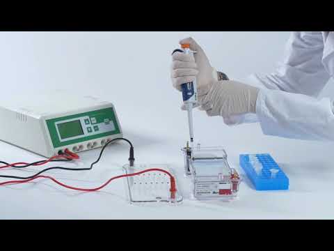 Video: ¿Cómo se carga la electroforesis en gel?