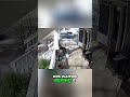 Dog vs. Delivery Worker: One Gate is Not Enough.