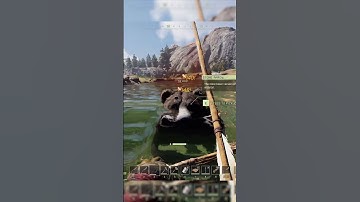 Icarus Bears LOVE ME!