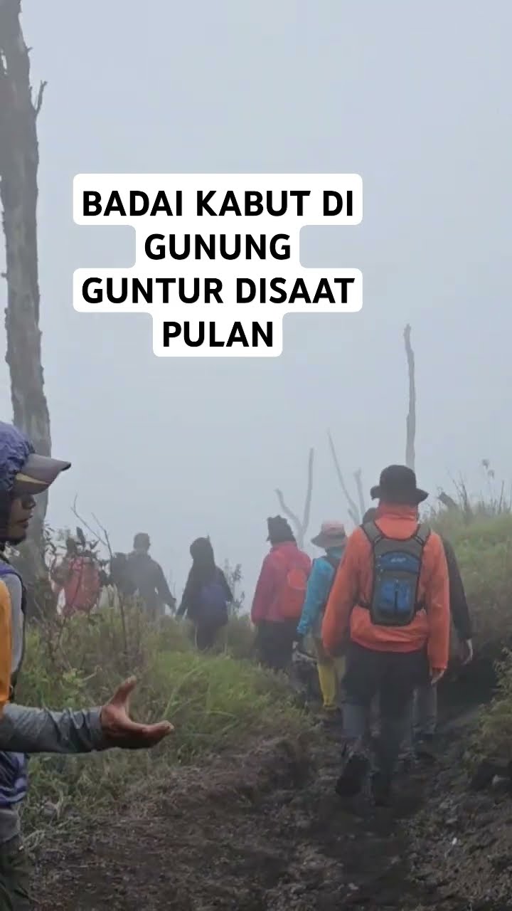 Jalan Gelap Terhalang Badai Kabut