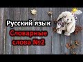 Русский язык. Словарные слова №2