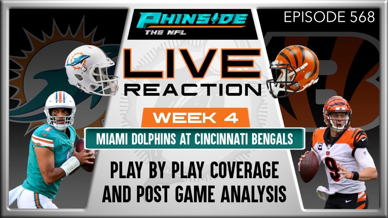 dolphins bengals live