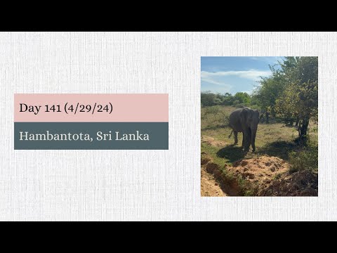 Day 141: (4/29/24)  Hambantota, Sri Lanka on the Ultimate World Cruise Video Thumbnail