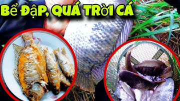Câu Cá Rô Trên Sông Rồi Chiên Giòn Ăn Cơm Nóng – Bữa Ăn Dân Dã Tuyệt Ngon