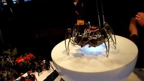 Face-tracking hexapod robot