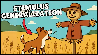 What is Stimulus Generalization? (Easiest Explanation)