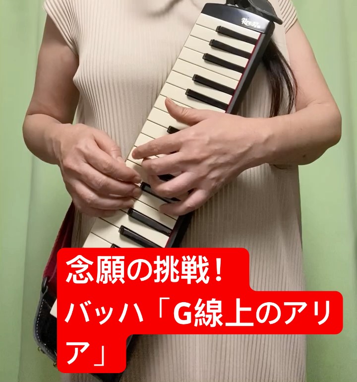 DAY37】念願の挑戦！バッハ「G線上のアリア」をケンハモ1本で奏でる
