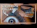 VERY DETAILED Step by Step | How to Apply False Lashes UNDERNEATH Your Lash Line | FAUX INDIVIDUALS