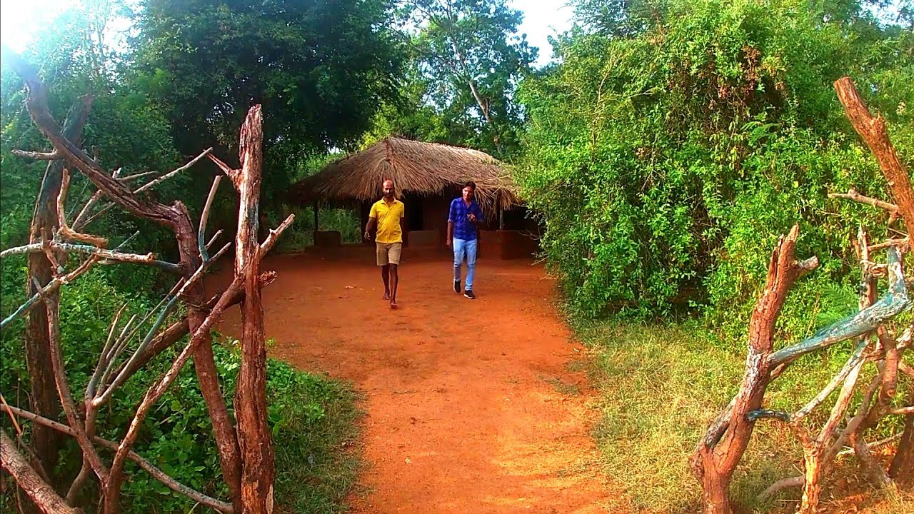 හැන්ද කොරේ ගිය ගමන🍁☘️🙋‍♂️👌