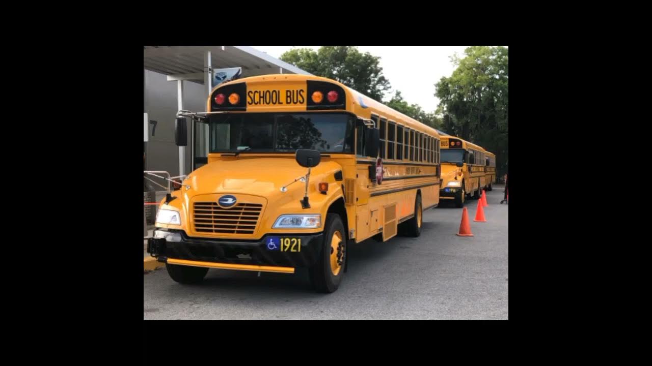 2019 bluebird vision - YouTube