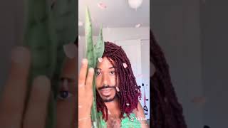 Poison Ivy 2 Marcus D Rocio