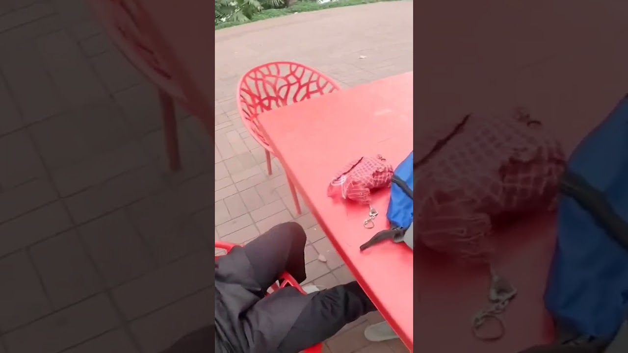 Mini crazy Stunt vlog 😍 