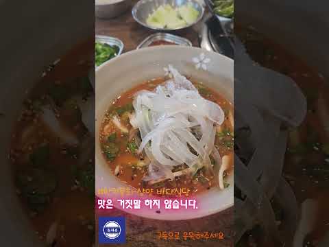 [먹어보기] 더운여름을 날려버리는 음식 한치물회! 역쉬 한치물회! #제주시#여행#맛집