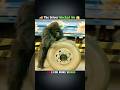 The Driver Mocked Him, But the Gorilla Pulled Off a Miracle! 😱🚚