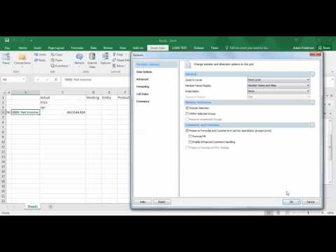 Excel Smart View Options - Tips & Tricks - Lunch & Learn