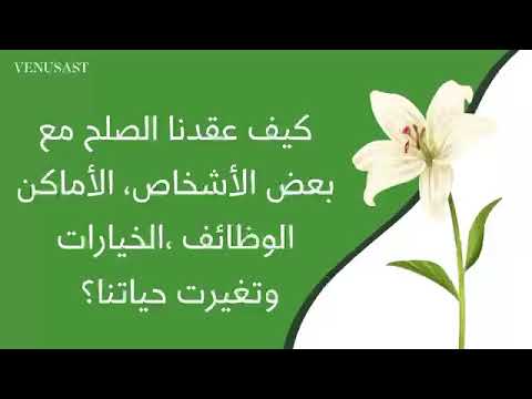 فينوس إيمان بنت سعود كيف عقدنا الصلح مع بعض الأشخاص الأماكن الوظائف الخيارات وتغيرت حياتنا