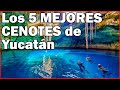 CENOTES de YUCATÁN ⭐ Los 5 mejores | Viajando con Memo